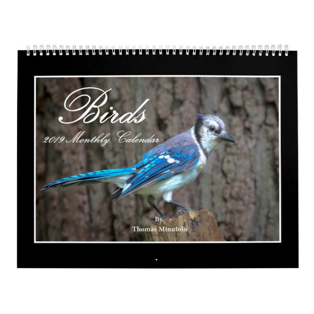 Birds 2019 Monthly Calendar By Thomas Minutolo (Cover)
