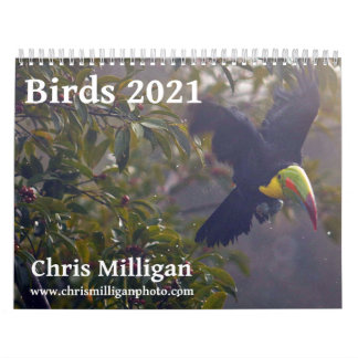 Birds 2021 Calendar by Chris Milligan