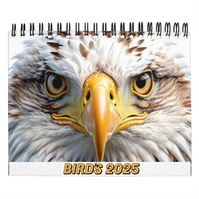 BIRDS 2025 CALENDAR TWITCHERS DELIGHT! (Cover)