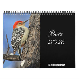Birds 2026 Calendar