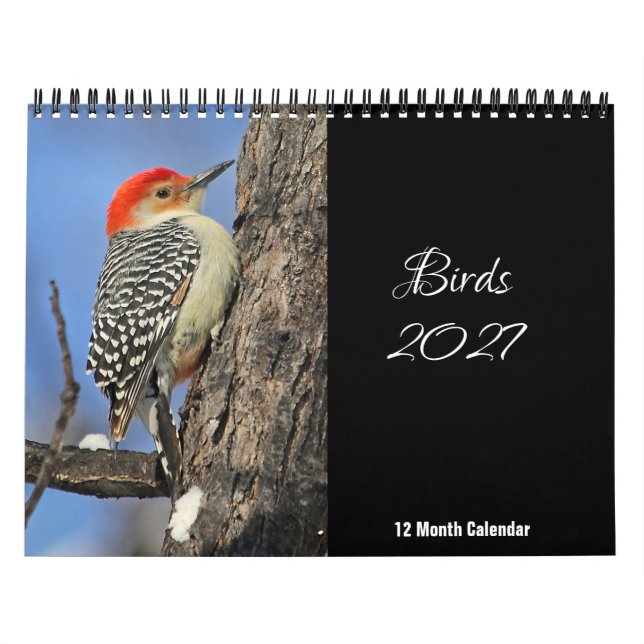 Birds 2027 Calendar (Cover)