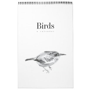 Birds: A Calendar