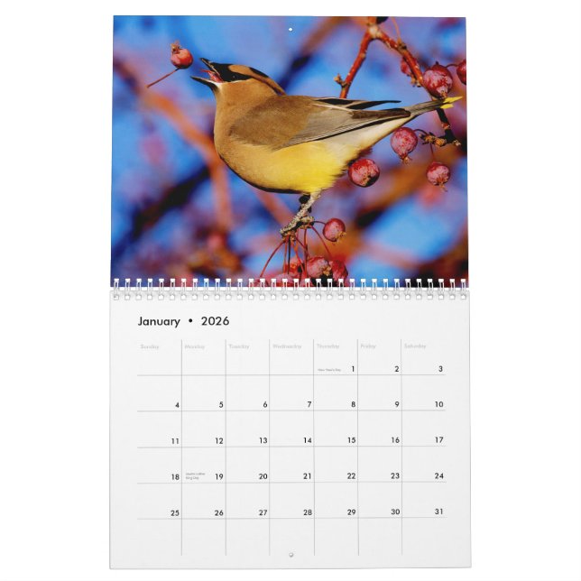 Birds and Blooms 2015 Calendar (Jan 2026)