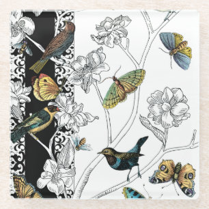 Birds and Butterfly on a Black & White Background Glass Coaster