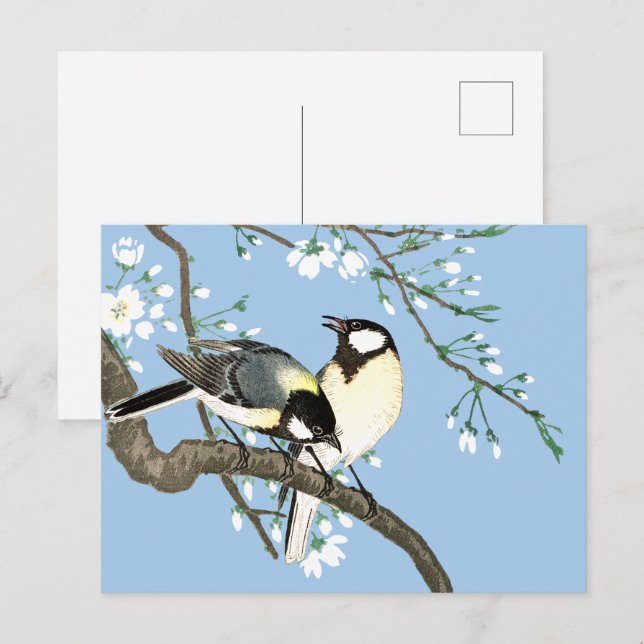 Birds and Cherry Blossoms Ohara Koson Postcard (Front/Back)