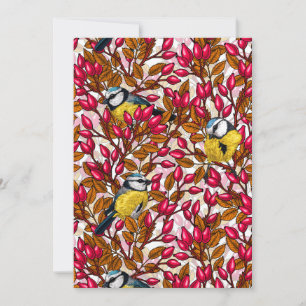 Birds and dog rose hips