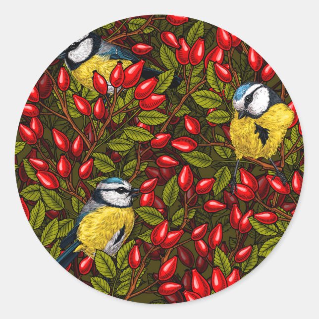 Birds and dog rose hips, green and red classic round sticker (Front)