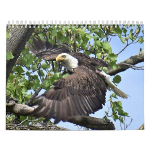 Birds and Ducks Calendar