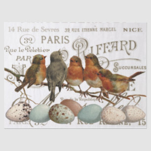 Birds and Eggs Vintage French City Names Decoupage Tissue Paper