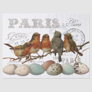 Birds and Eggs Vintage French Paris Text Decoupage Tissue Paper