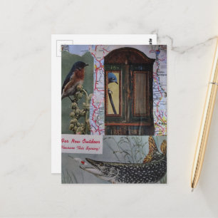 Birds and Fish Retro Collage Postcard