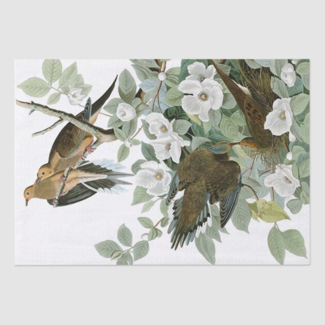 Birds and Flowers Natural 15" x 20" Tissue Paper (Front)
