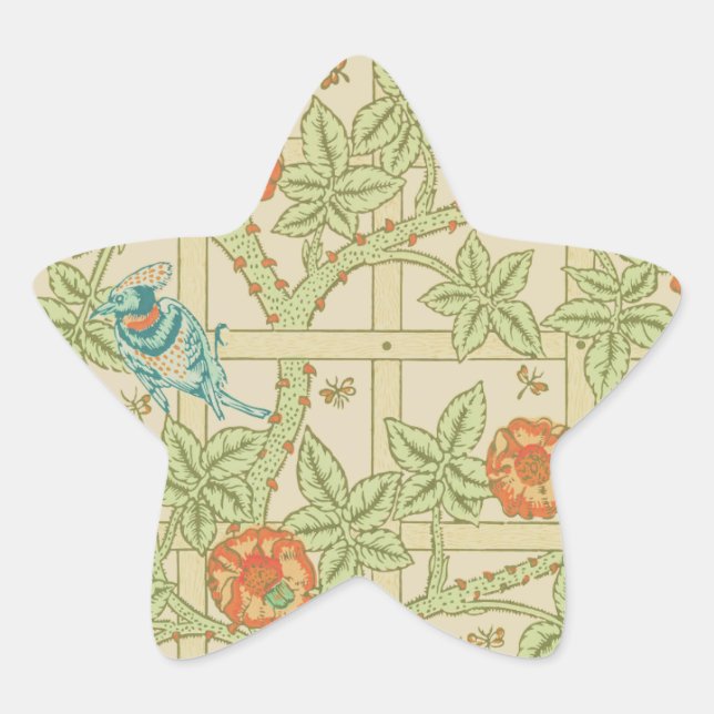 Birds and Flowers Trellis William Morris Star Sticker (Front)