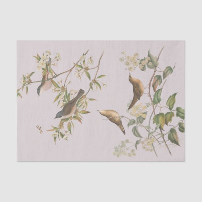 Birds and leaves, romantic wedding  tissue paper (Front)