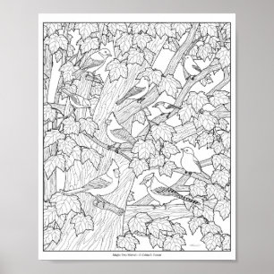 Birds and Maple Tree Adult Coloring Page 12"x10" Poster
