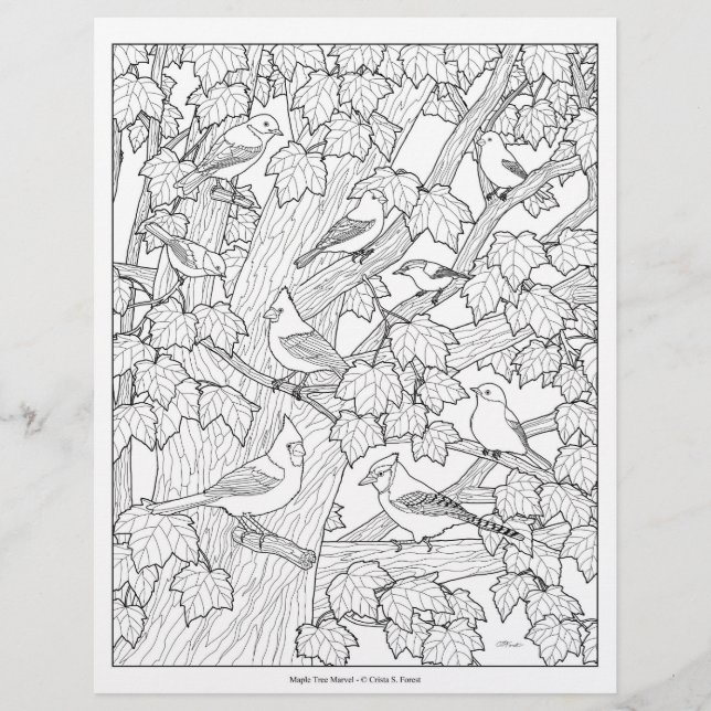 Birds and Maple Tree Adult Colouring Page (Front)