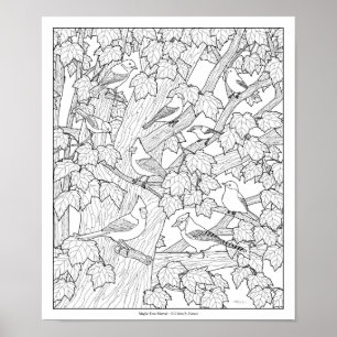 Birds and Maple Tree Adult Colouring Page 30"x25" Poster