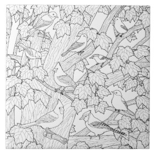 Birds and Maple Tree Adult Colouring Page Tile
