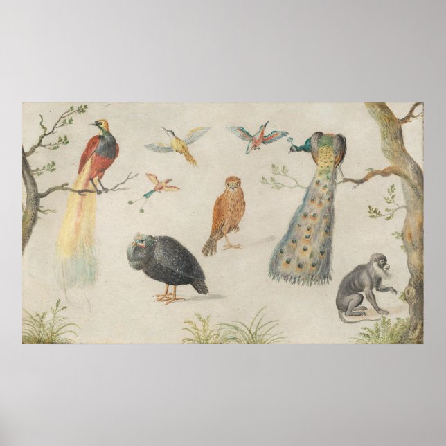Birds and Monkey - Jan van Kessel Fine Art Poster (Front)