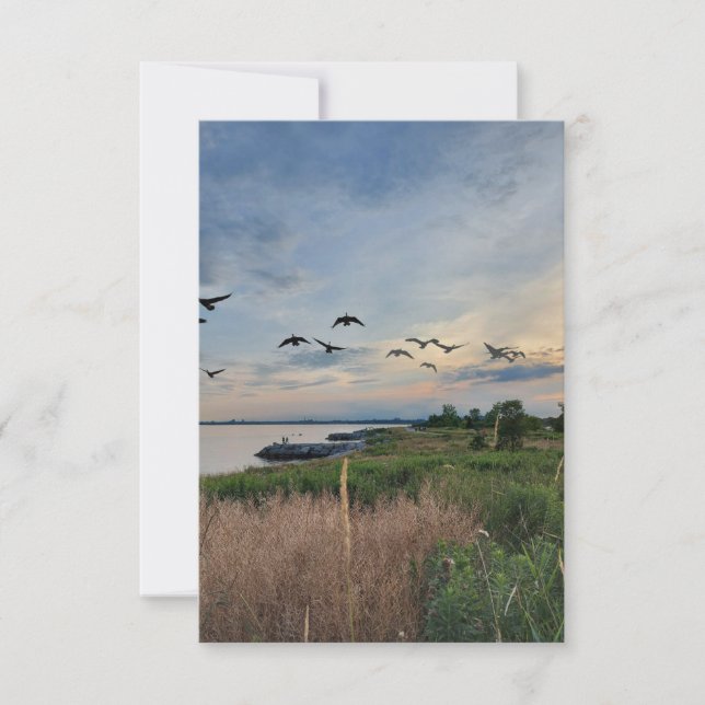 Birds and Sunset on Lake Ontario Greeting Card (Front)