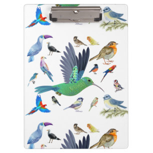 Birds are beautiful animals clipboard