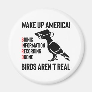 Birds Are Not Real - If It Flies, It Spies Magnet