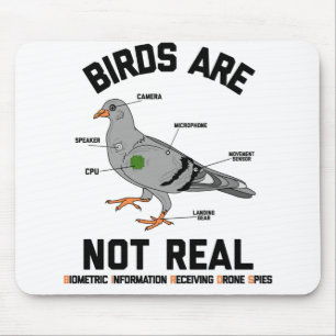 Birds Are Not Real Spy Pigeon Funny Drone Mouse Mat