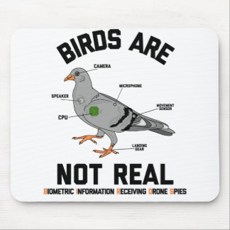 Birds Are Not Real Spy Pigeon Funny Drone Mouse Mat