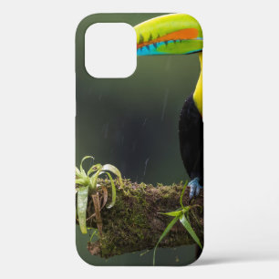 birds are the only animals with feathers 2 iPhone 12 case