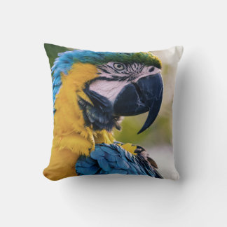 birds are the only animals with feathers 8 cushion