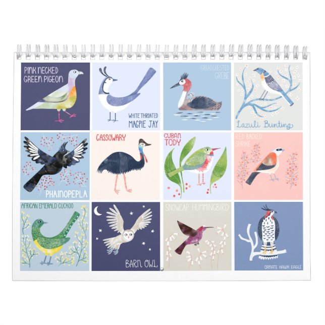 Birds Around the World Art Calendar (Cover)