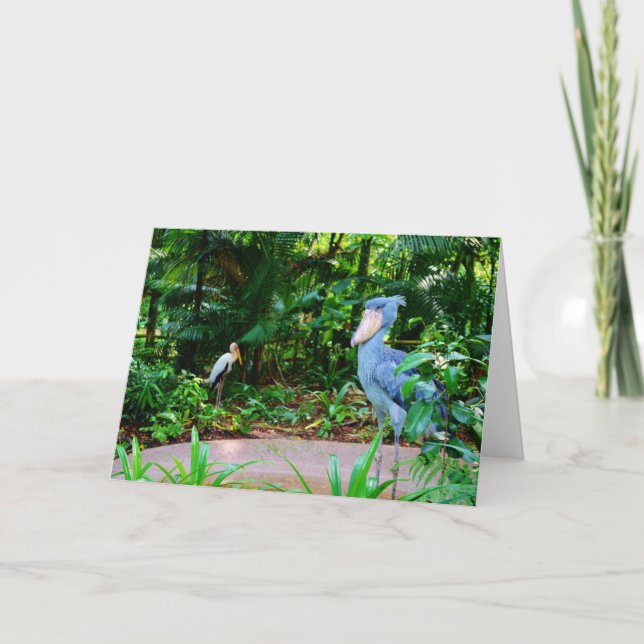 Birds at Singapore Zoo Greeting Card (Front)