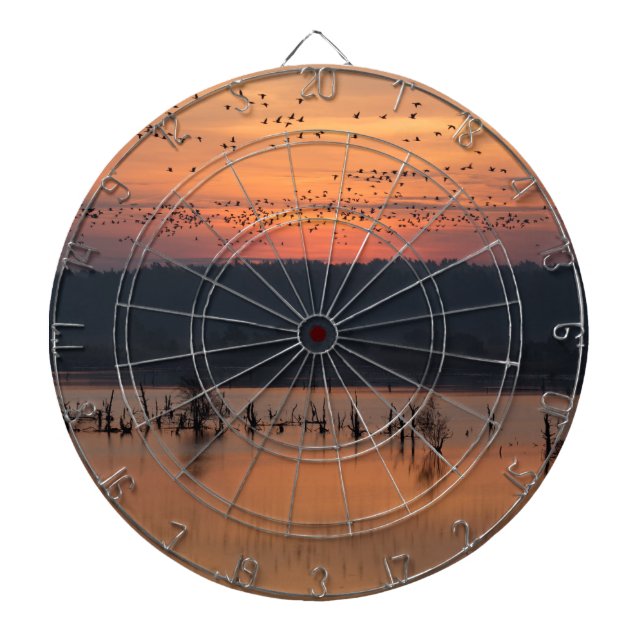 Birds at sunrise dartboard (Front)