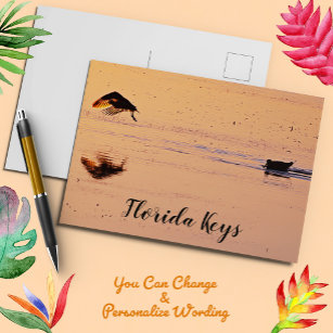 Birds at Sunset on Ocean Key West Florida Postcard