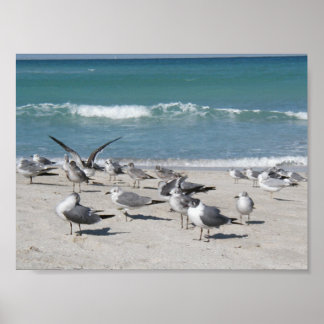 Birds at the beach poster
