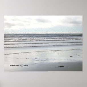 Birds at Watsonville Beach Poster
