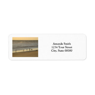 Birds Beach Sunrise Personalize Return Address