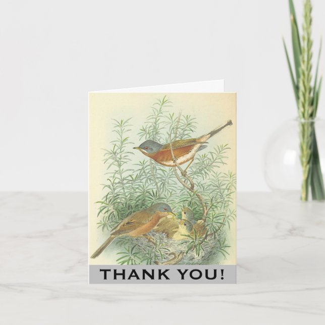 Birds, Bird Nest in a Tree "THANK YOU!" Card (Front)