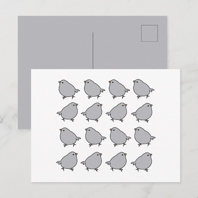 Birds Bird Postcard (Front/Back)