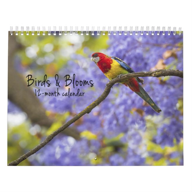 Birds & Blooms 12 Month Calendar (Cover)