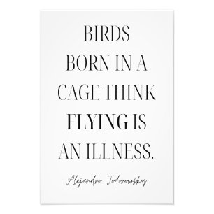 Birds Born in A Cage Think Flying is An Illness    Photo Print