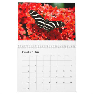 Birds, Butterflies, and Flowers Calendar 