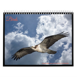  Birds Calendar
