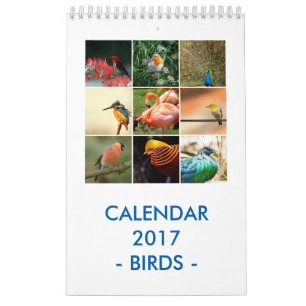 Birds Calendar