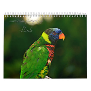 Birds Calendar