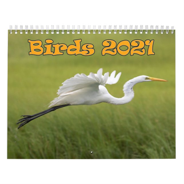 Birds Calendar 2021 (Cover)