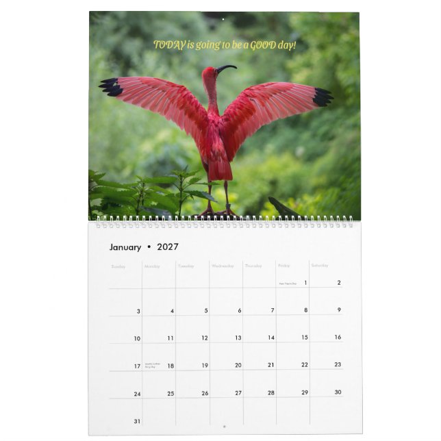 Birds Calendar 2026 - With bible verses (Jan 2027)