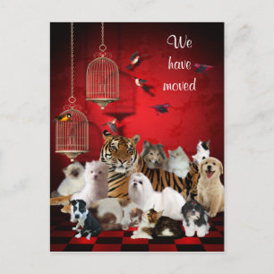 Birds & Cats and Cages Red, We moved Postcard