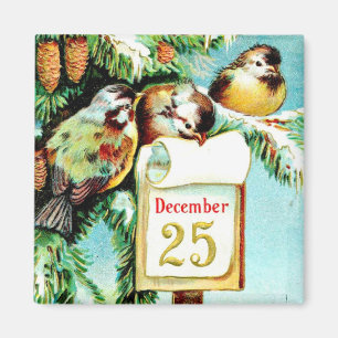 Birds Celebrate Christmas Magnet