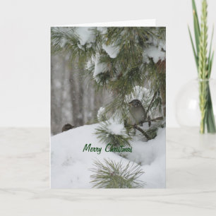 Birds Christmas Shelter Holiday Card